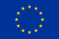 flag_yellow_high